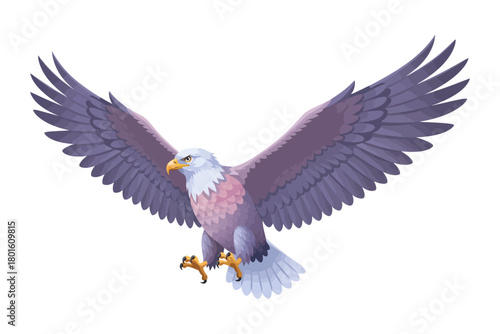 A collection of eagle vector illustrations. Vector clipart designs of predatory birds with clean backgrounds.