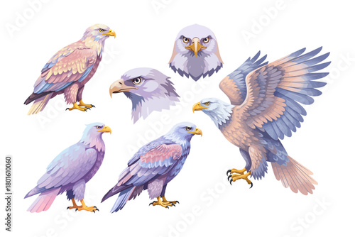 A collection of eagle vector illustrations. Vector clipart designs of predatory birds with clean backgrounds.