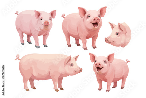 vector set of pig illustrations in various cute and adorable poses