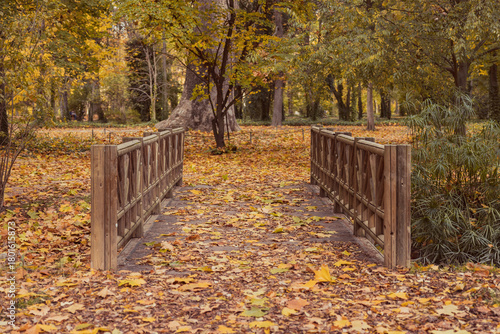 Bridge in autumn on a park path covered with dry leaves