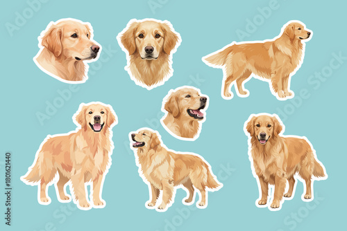 Golden retriever dogs vector illustration design