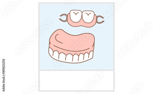 介護向けの入れ歯のシンプルな手描きイラスト Upper Denture Illustration