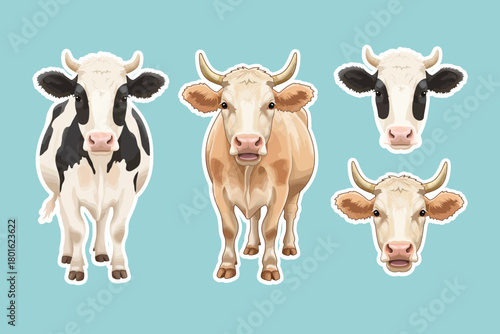 Set of cow vector illustrations. Set of cow vector clipart designs.