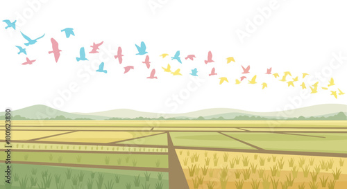 Colorful birds fly over a rural landscape with rice fields and mountains in the distance.
