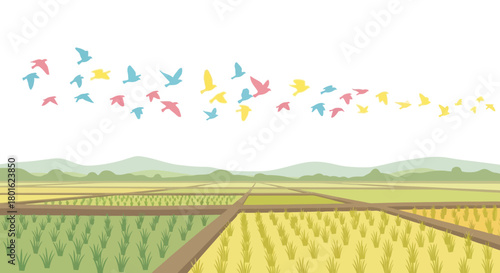 Colorful birds fly over a rice field with mountains in the distance, vector illustration.