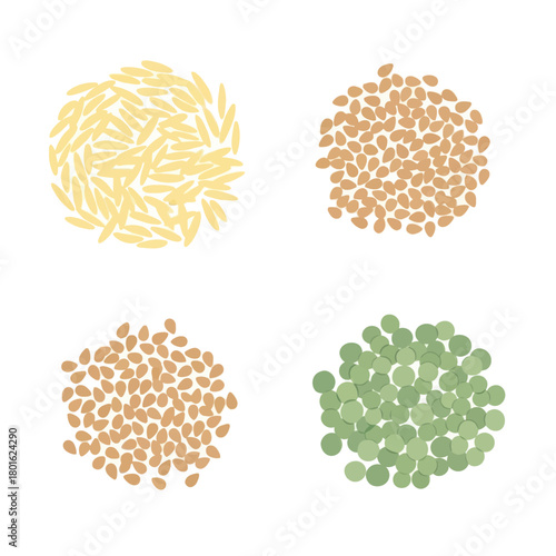 Vector shows piles of rice, peas, and seeds on a white background, close up view.