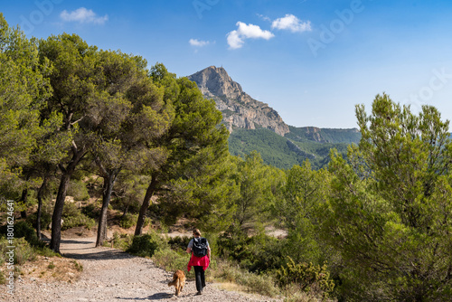 Hikers on a forest trail with a view of Sainte-Victoire Mountain in Provence, a limestone mountain in southern France