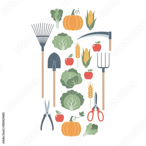 Autumn harvest with seasonal vegetables, fruits, and garden tools in a flat design.