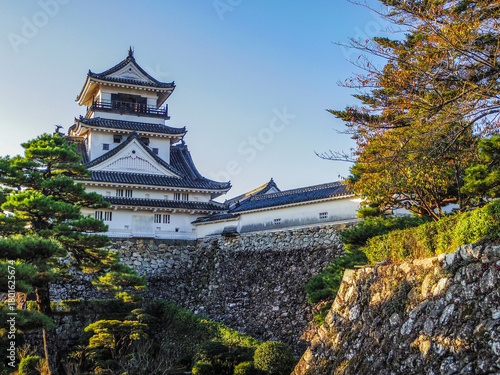 Wallpaper Mural 【高知県】高知市・高知城 Torontodigital.ca