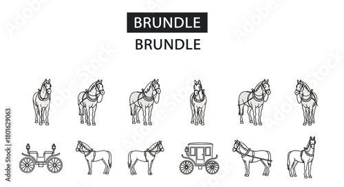 A collection of illustrations depicting horses and horse-drawn carriages, presented in a simple, monochrome style against a white background.