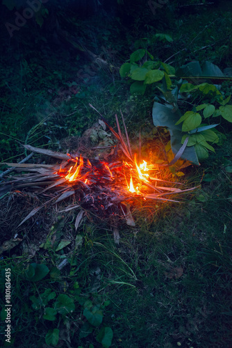 christmas tree decoration