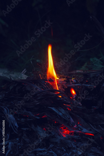 fire in the fireplace