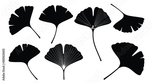 Elegant black ginkgo leaves artfully arranged for modern design inspiration