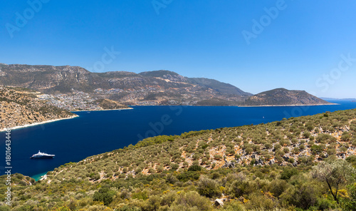 Fototapeta Naklejka Na Ścianę i Meble -  A panoramic coastal scene with deep blue sea, rugged hills, and rows of olive trees
