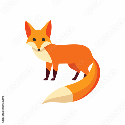 Cartoon Fox Illustration Standing, Looking, Orange, and White Colors