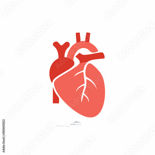 Stylized red heart illustration, human internal organ, health and medicine