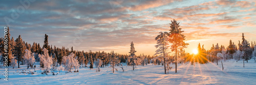 Panoramic snowy wintry landscape at sunset, frozen trees in winter in Saariselka, Lapland, Finland web banner
