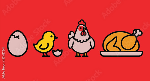 Chicken life cycle stages hatching to dinner with red background