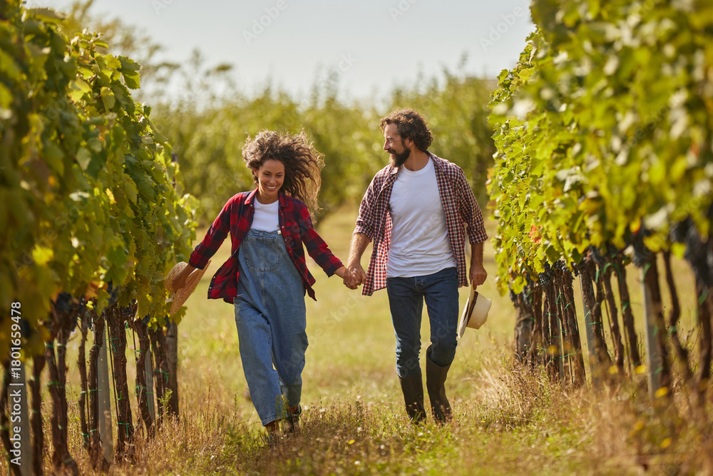 Fototapeta premium A couple joyfully walks hand in hand through a lush vineyard, surrounded by rows of grapevines under a clear blue sky. They are enjoying their day in the family business.