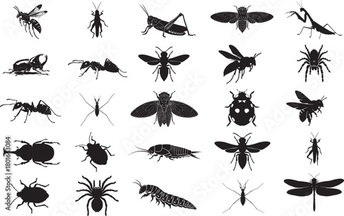 Collection of diverse insects and crawling creatures in vivid colors