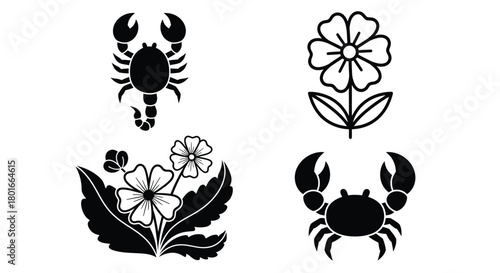 Unique black graphic elements featuring flowers and sea creatures