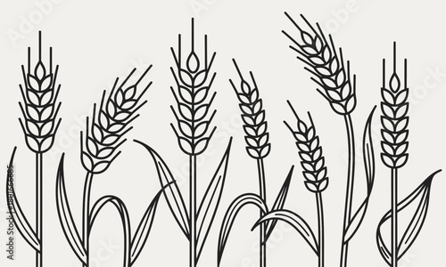 Wheat illustration minimal design, black and white isolated vector.