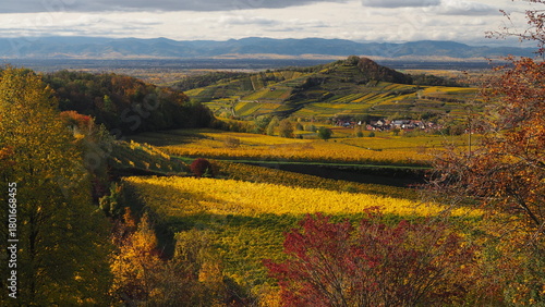 Liliental zum Blauen