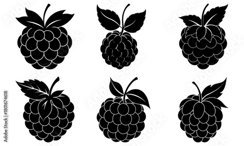 Illustration of six stylized raspberries with leaves in black and white silhouette style isolated on white