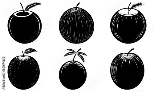 Collection of six stylized black and white coconut illustrations in varying designs and orientations