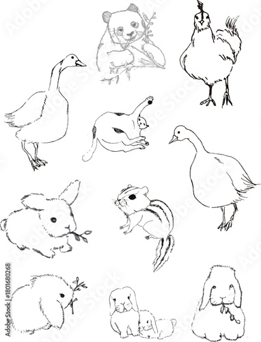 251115_다람쥐+거위+토끼+닭+고양이