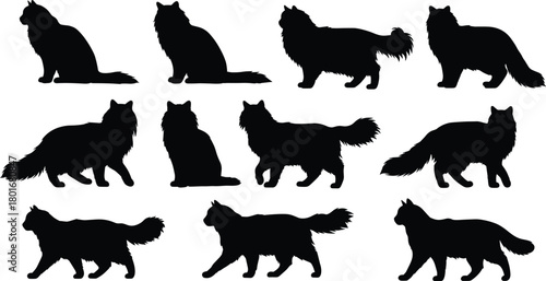 Cat silhouettes collection, domestic feline vector illustration, black cat design, walking sitting standing poses, pet animal artwork, feline graphic decoration