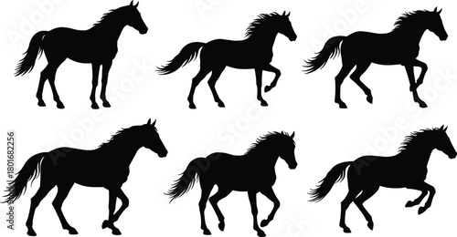 Horse silhouettes illustration, wild horse vector, running stallion outline, black horse shadow, equestrian art, galloping horse icon, animal graphic design