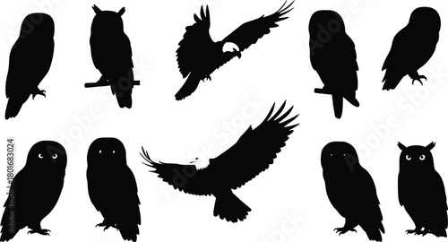 Owl and eagle silhouettes vector, flying and perched birds illustration, wildlife design, nocturnal animals, bird shapes, nature graphic art, black outline