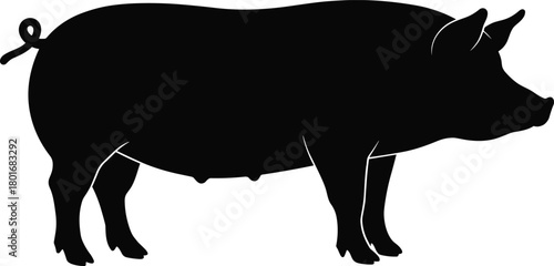 Pig silhouette illustration, farm animal vector design, domestic livestock graphic art, pork agriculture icon, black hog drawing, rural farming symbol