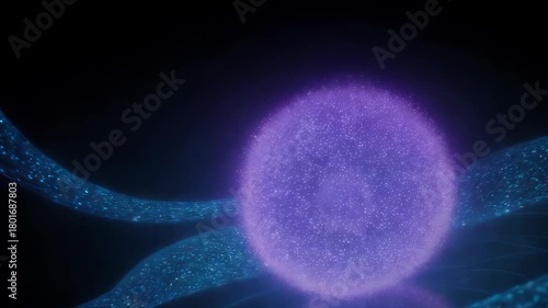 Adobe Stock Logo Animation
