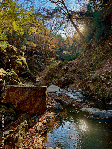 御在所岳周辺の鈴鹿山系千種街道へ続くコクイ谷の紅葉11月中旬