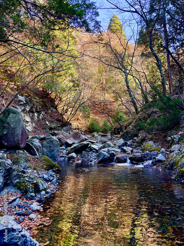 御在所岳周辺の鈴鹿山系千種街道へ続くコクイ谷の紅葉11月中旬