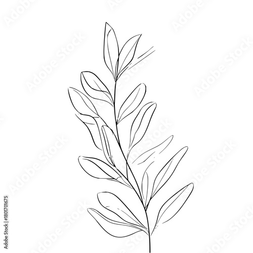 Seamless wood texture vector pattern for background design and realistic surface effect and decoration element