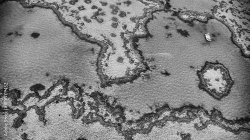 Fototapeta Naklejka Na Ścianę i Meble -  Monochrome aerial perspective of Queensland coral reef showing patterns and natural formations
