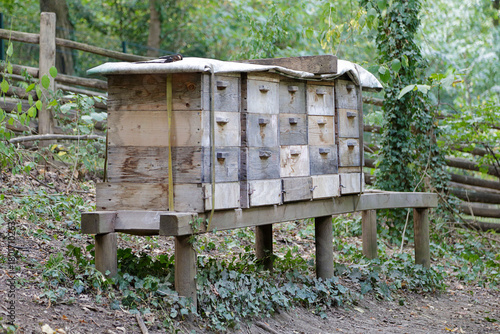 Rows of beehives in a rural landscape