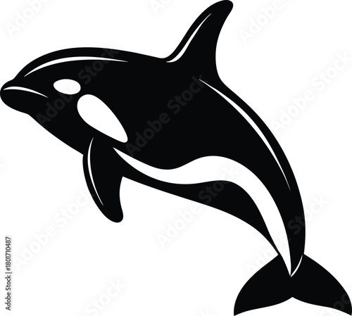 Orca killer whale silhouette black vector icon