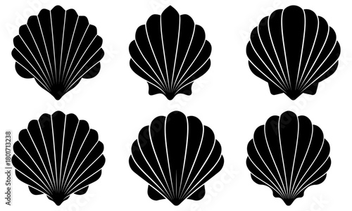 Collection of six black and white stylized scallop shell illustrations in varying orientations