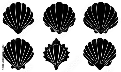 Collection of six black seashell illustrations in various shapes and orientations on white background