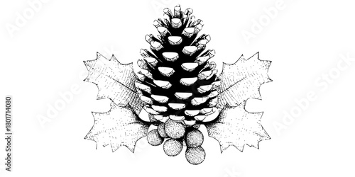 Silent Pine Cone Whispers | Clean, isolated vector art for creative projects.