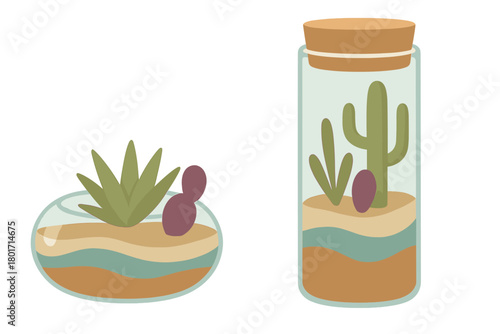 Stylized desert terrariums with succulents and cacti in glass containers layered with colorful soil