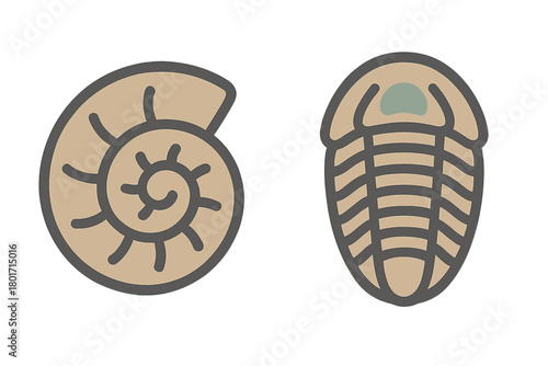 Ammonite shell and trilobite ancient marine fossils graphic icons set on white background