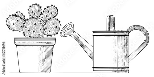 Elegant Cactus Vase Illustration | Clean, isolated vector art for creative projects.