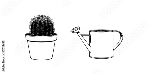Cactus Pitcher, 2D Vector Art | Clean, isolated vector art for creative projects.