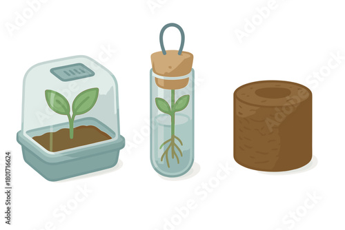 Seedling propagation techniques using mini greenhouse hydroponics and soil pellets