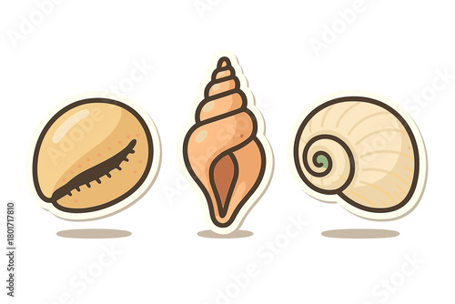 Stylized marine seashells sticker set featuring cowrie, spiral, and turban shell designs